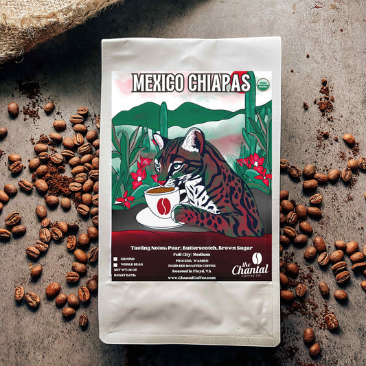 Mexico Chiapas